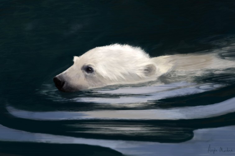 young polar bear swimming digital painting by angela murdock